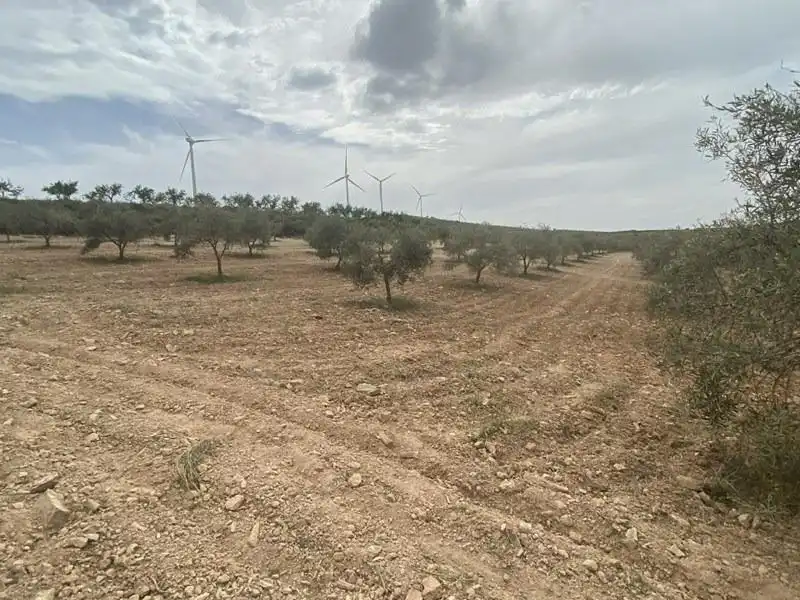 Casa rústica en venda a Padul, imagen 4