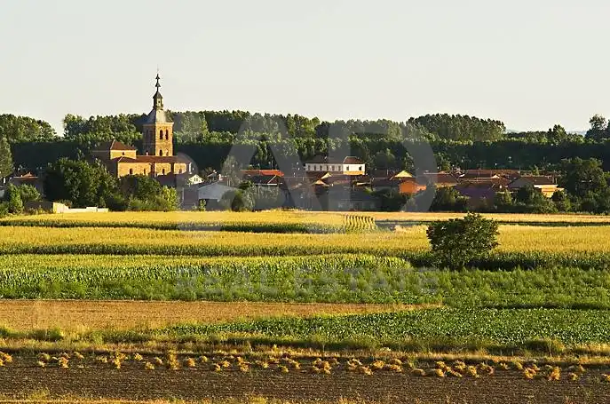 Finca rústica en venda a Villarejo de Órbigo