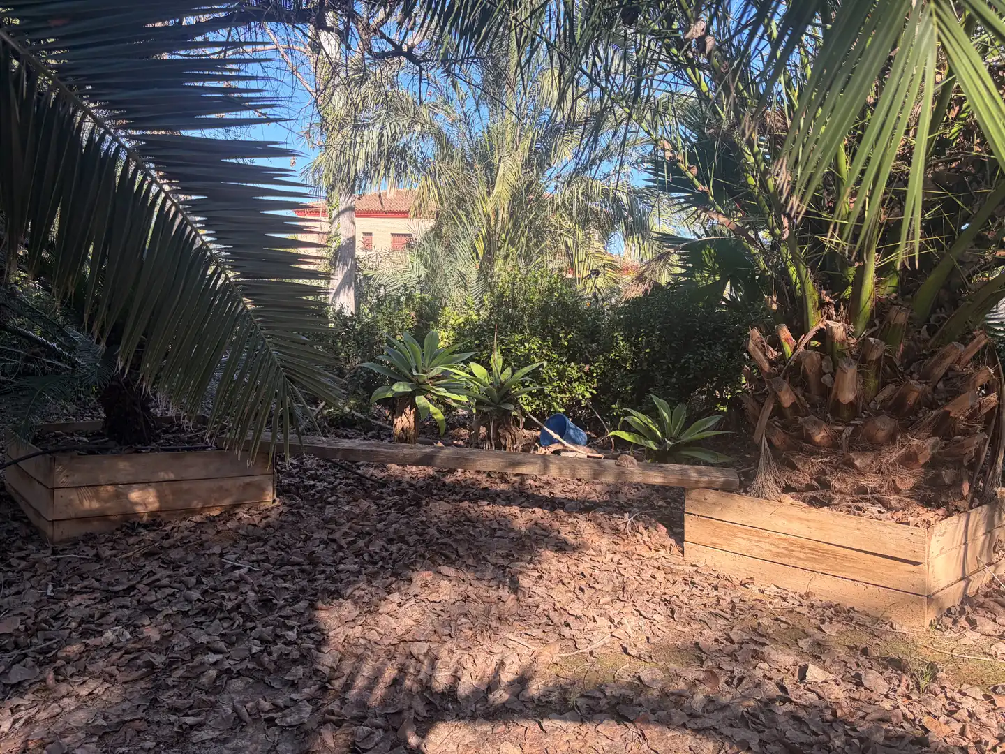 Lands and plots for sale in Abanilla, imagen 16