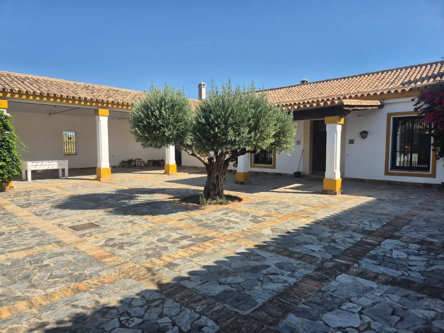 Terreno rústico en venta en Avenida de Arcos, imagen 4