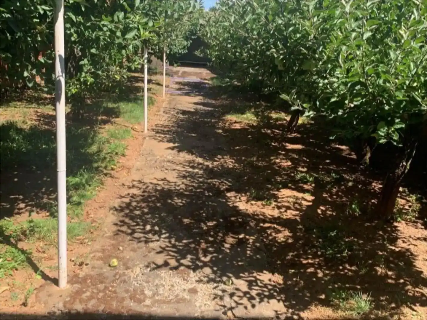 Pis en venda en Villadangos del Páramo amb Jardí privat, Parquet i Traster