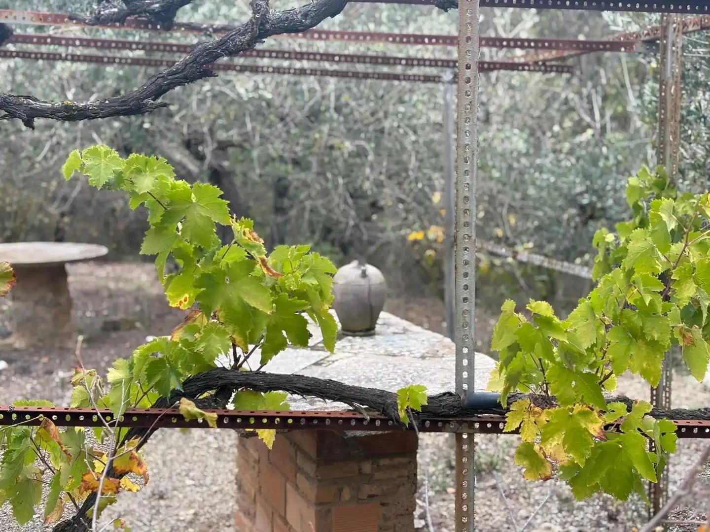 Terreno rústico en venta en Porrera, imagen 35