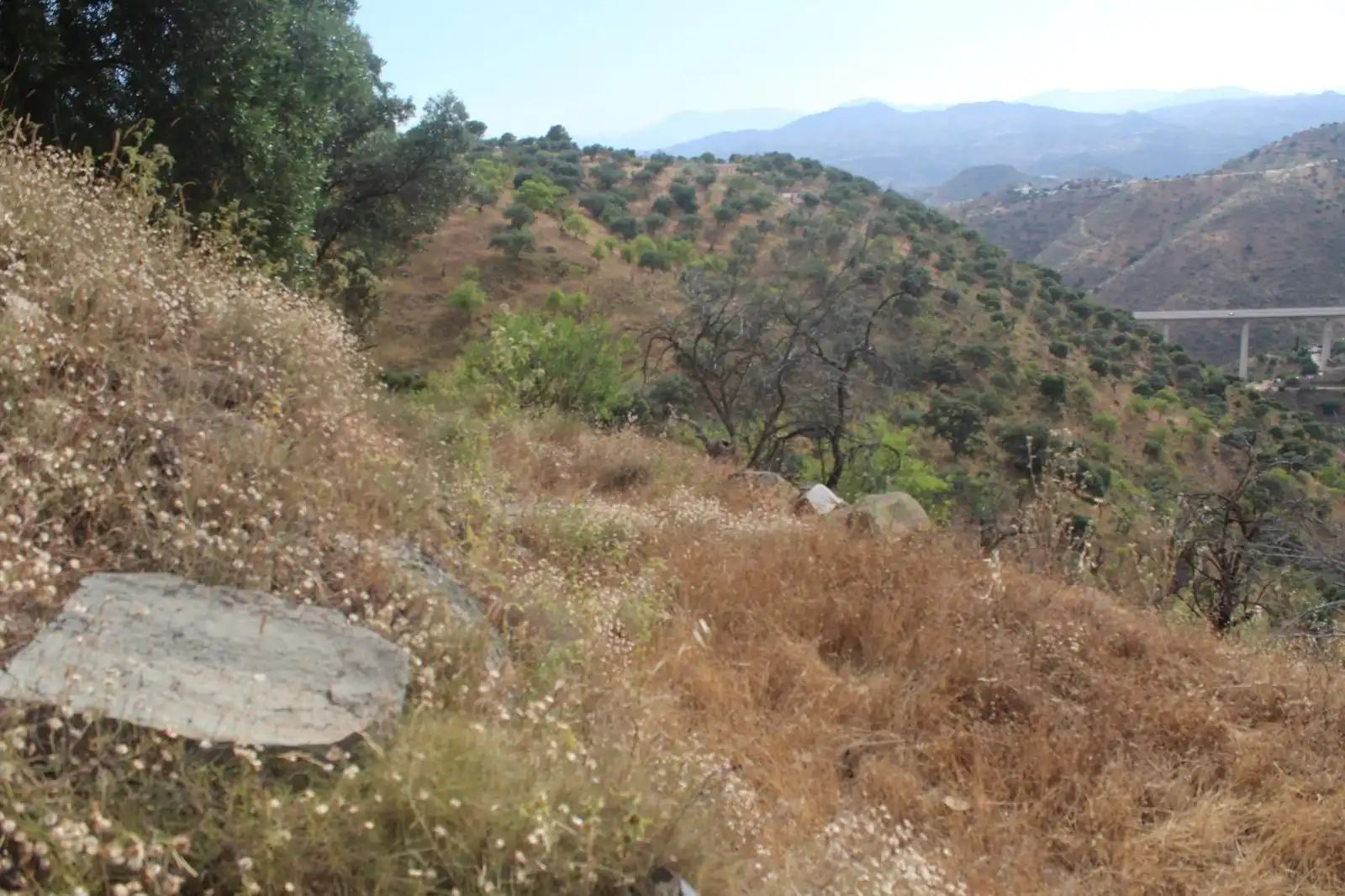 Finca rústica en venda en Almogía