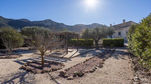 Foto 3 de Finca rústica en venta en N/a, -1, Jumilla, Murcia