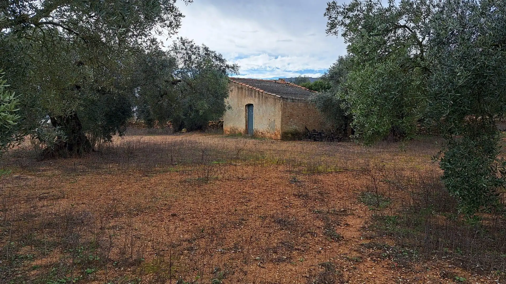 Terreno en venta en Freginals