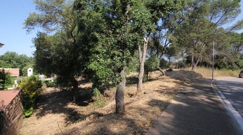 Fantástica parcela cerca de la Costa Brava, imatge 4