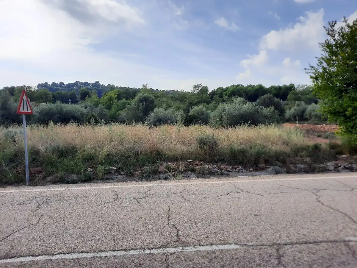Terreno residencial en venta en Algímia de Alfara, imagen 9