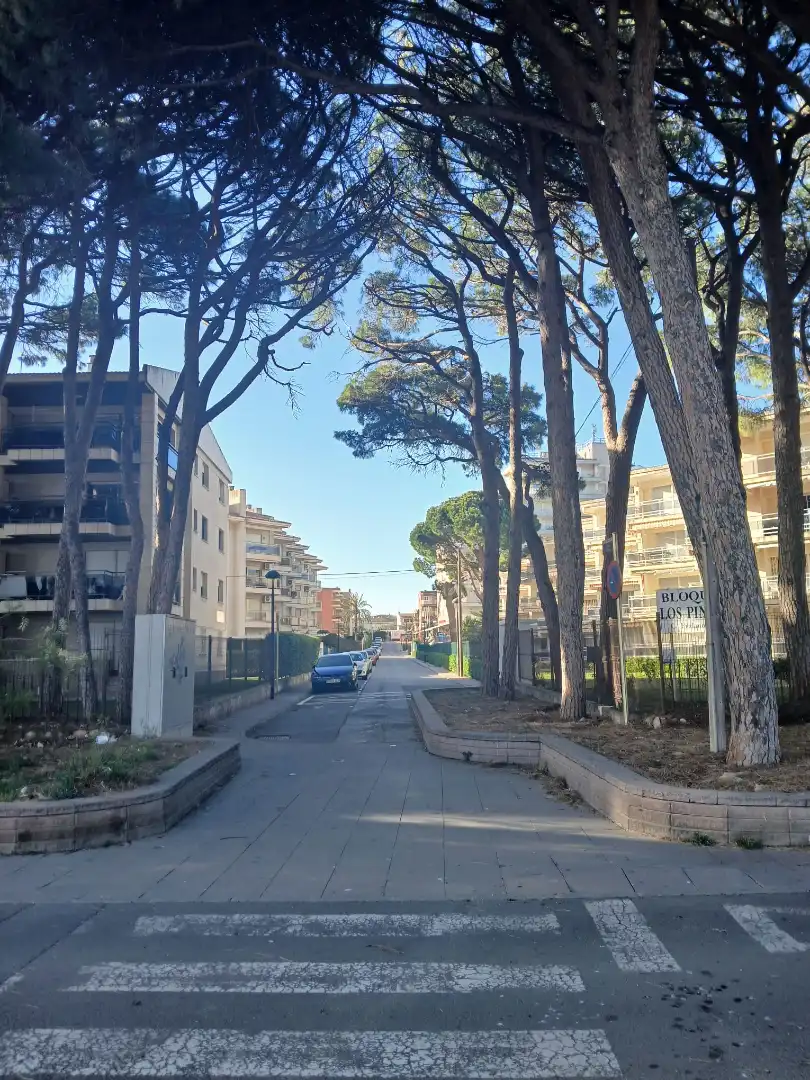 Vista exterior de Planta baja en venta en Cambrils con Aire acondicionado, Calefacción y Jardín privado