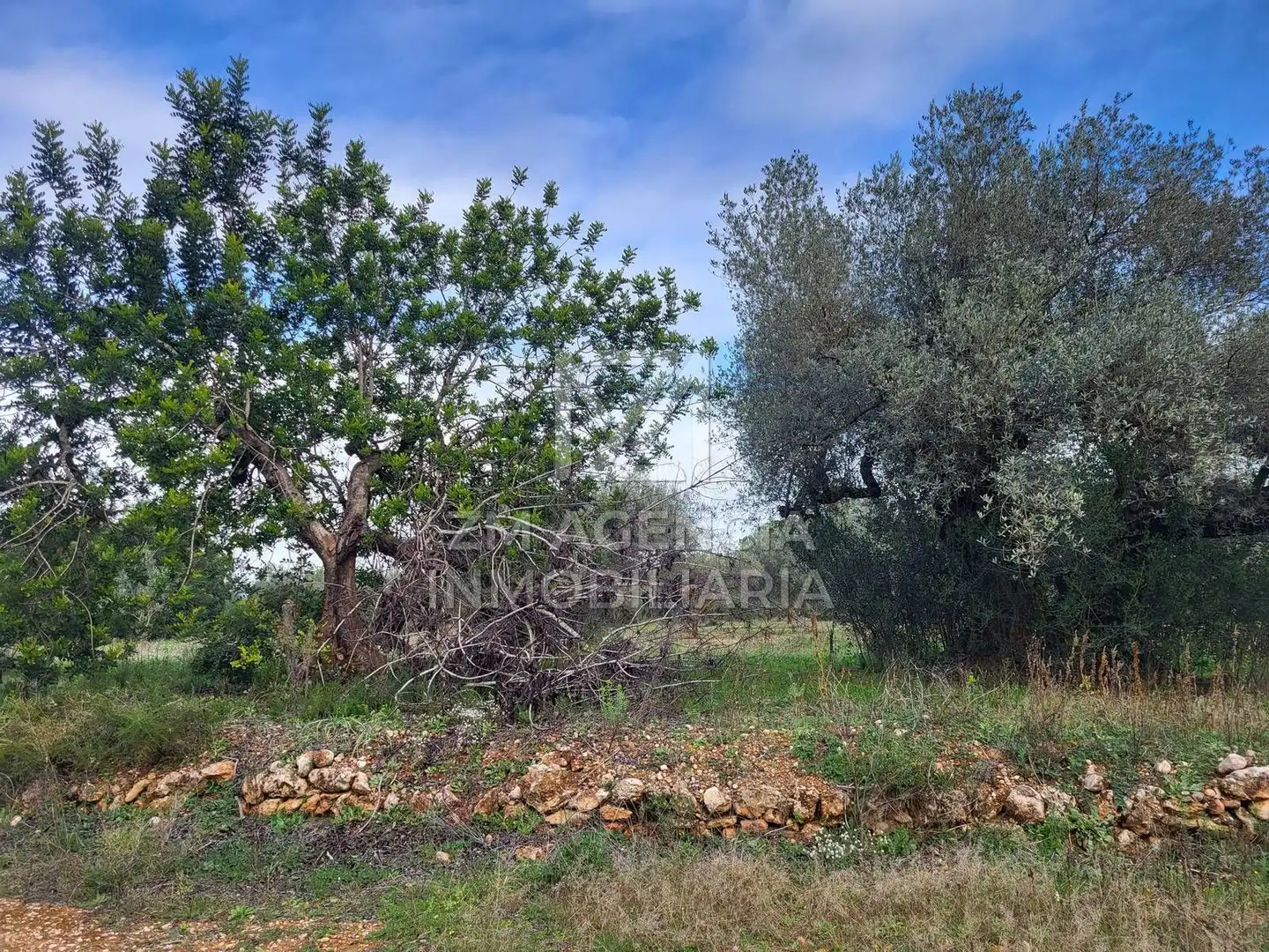 Terreno rustico in vendita a Cabanes, imagen 2
