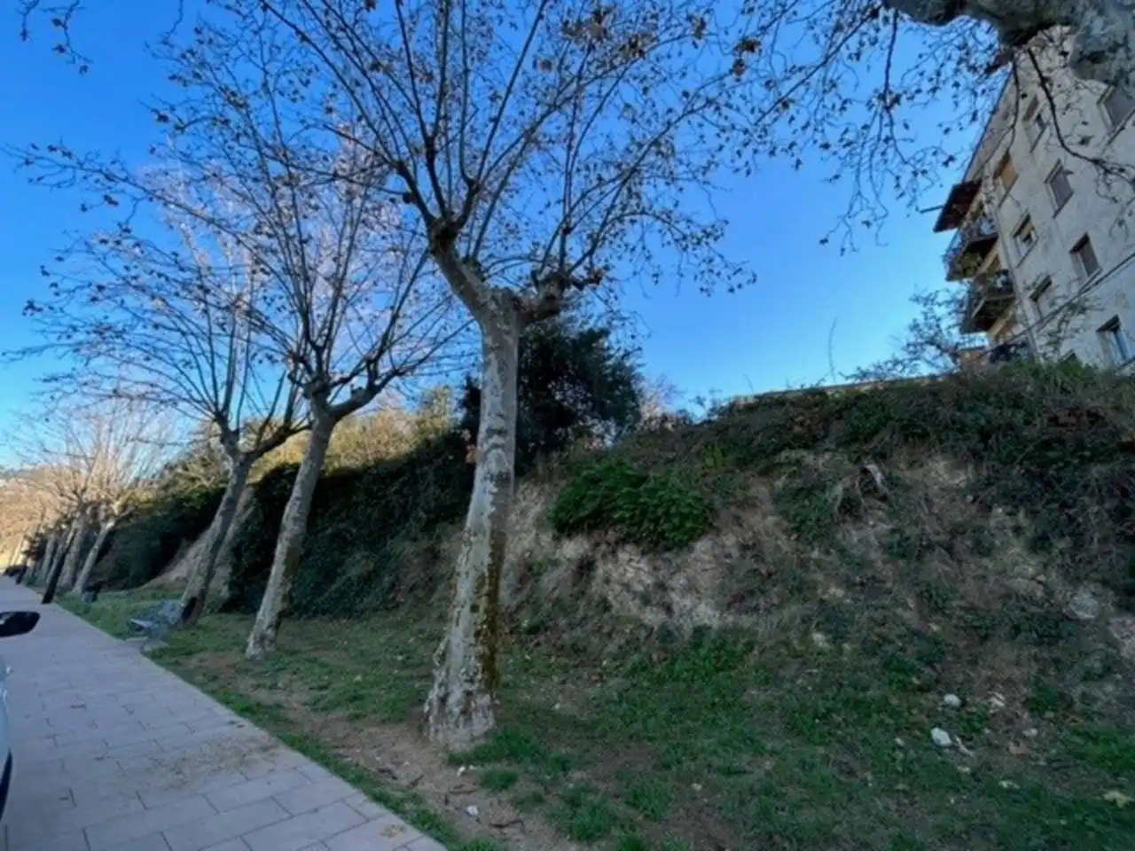 Rustikales Grundstück zum Verkauf in Paseo Remedio 1, imagen 4