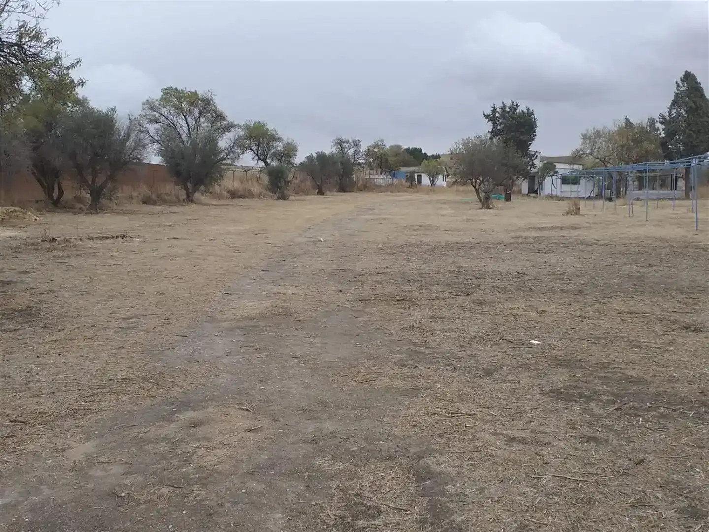 Finca rústica en venta en Pinto