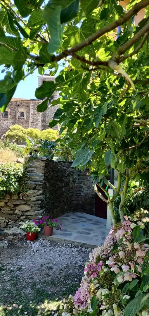 Jardí de Finca rústica en venda en Ponferrada amb Jardí privat