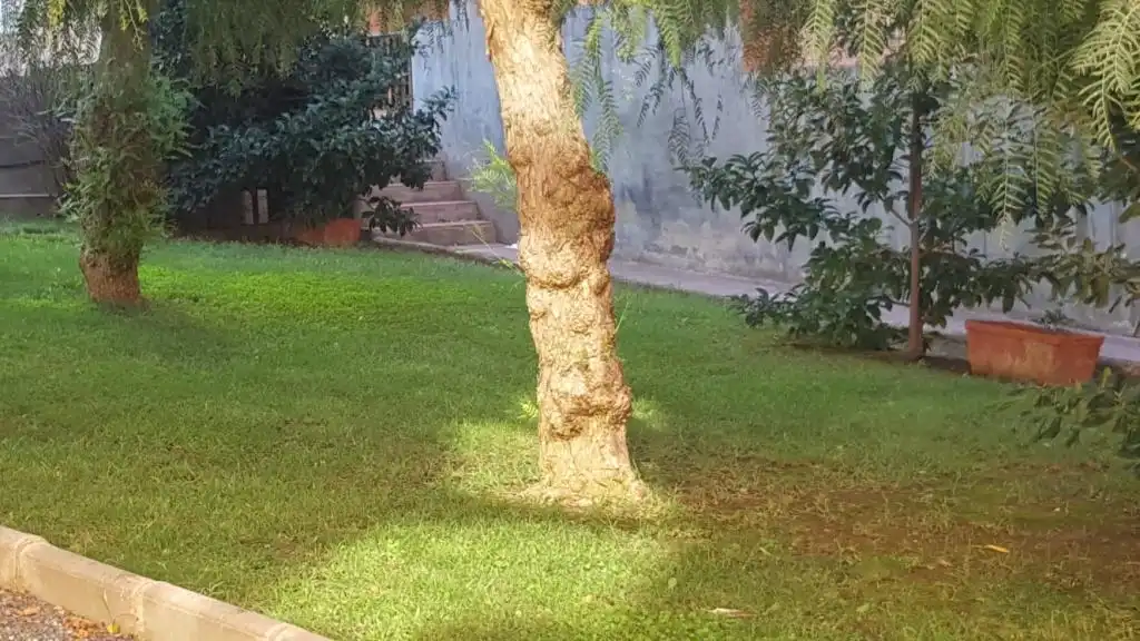 Gewerbefläche zum Verkauf in Nou Eixample Sud, imagen 20