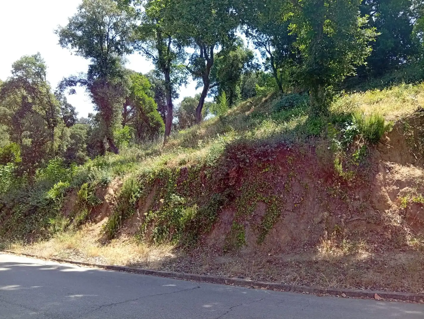 Exterior view of Residential for sale in Vallgorguina