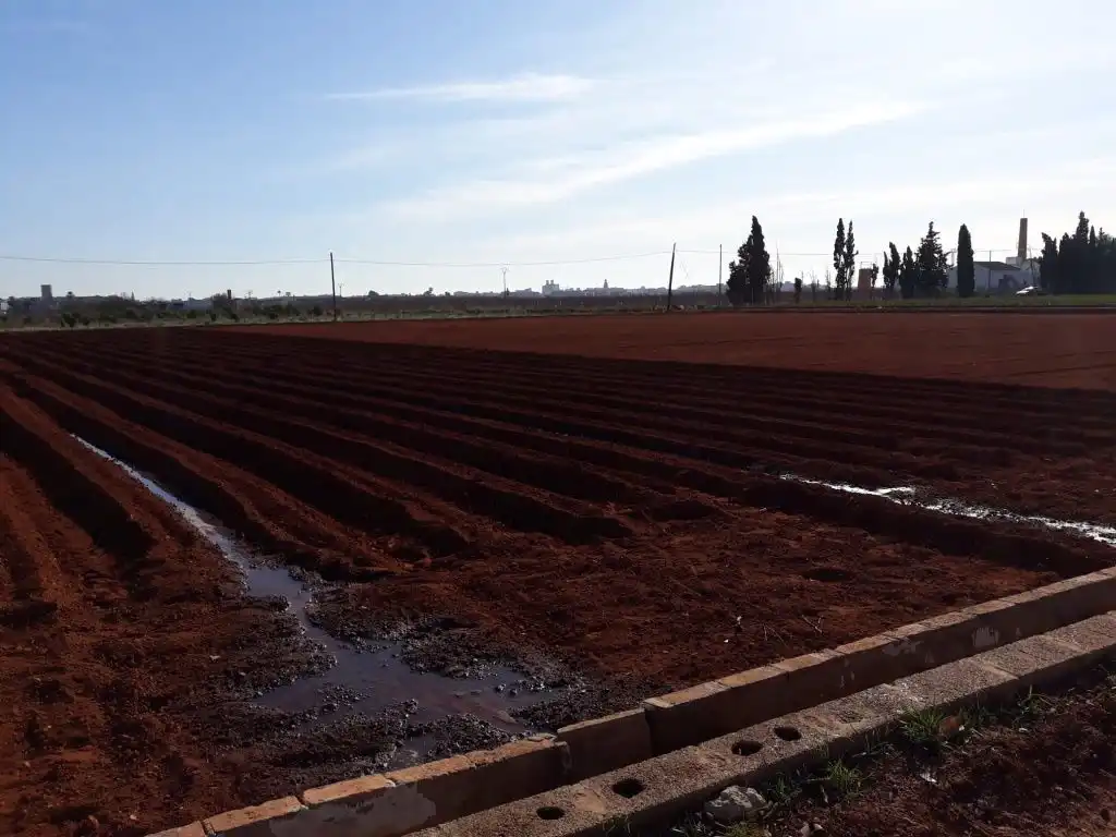 Garden of Land for sale in Catarroja