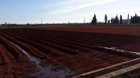 VENTA CAMPO REGADIO CATARROJA.MC34, imagen 3