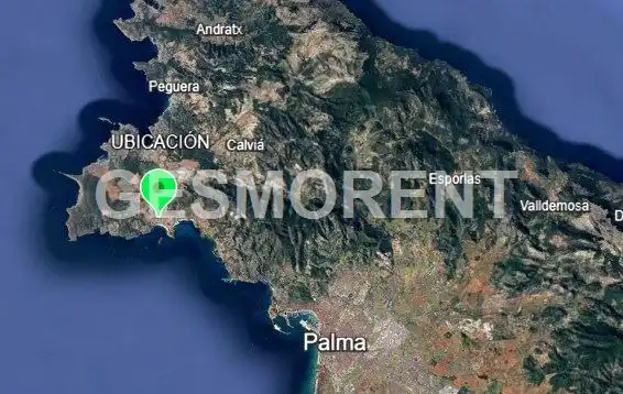 Local comercial en alquiler en Magaluf, imagen 5