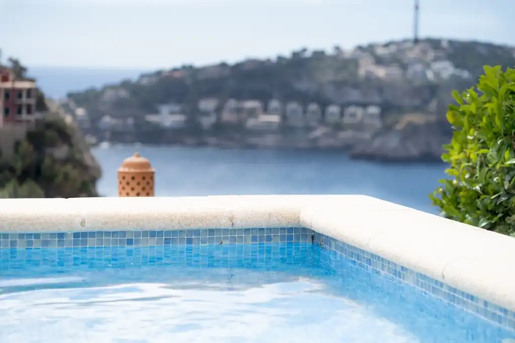 Apartament amb piscina en venda a Port d'Andratx, imagen 16