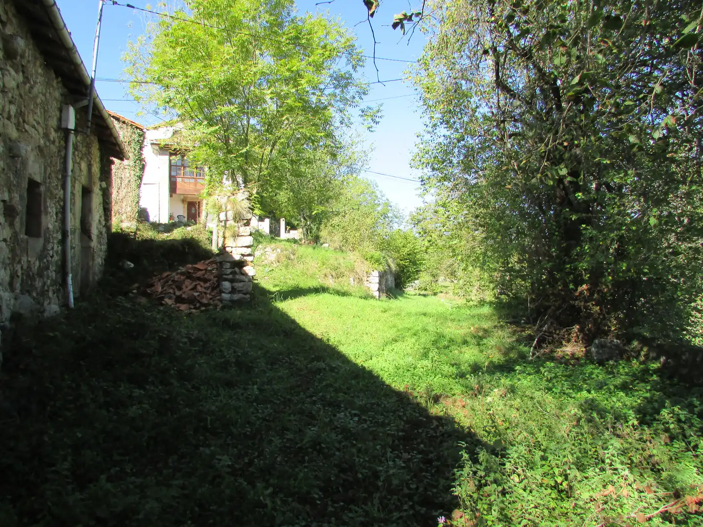 Country homes for sale in Cabrales