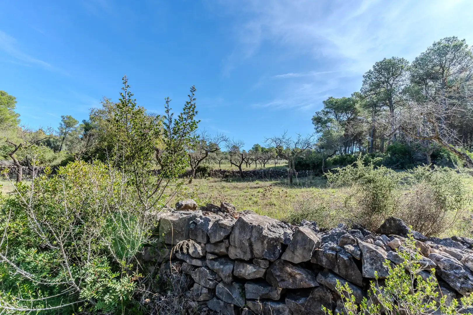 Landhaus mit Terrasse zum Verkauf in Diseminado Poligono 5, imagen 11