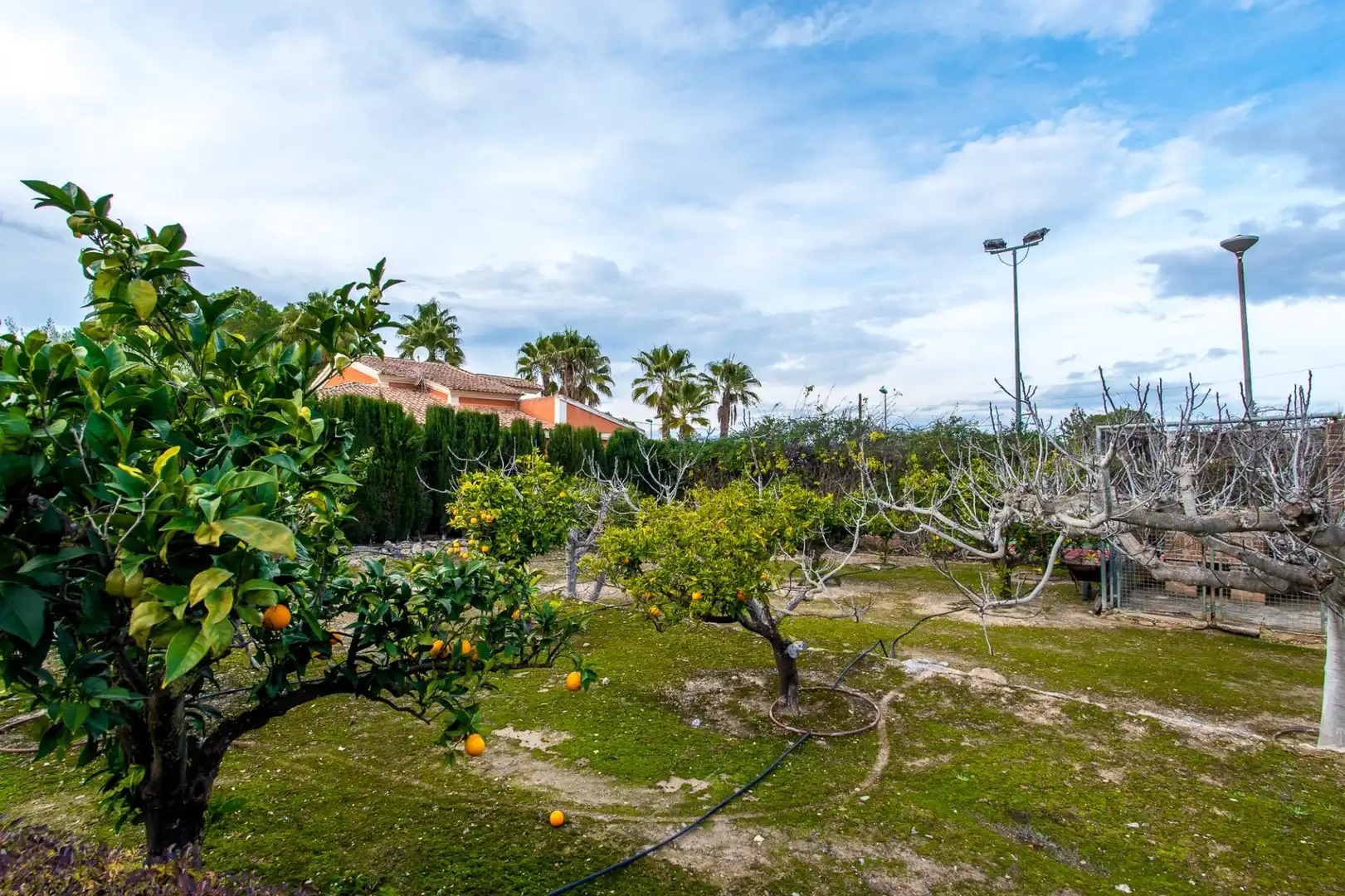 Garden of Houses for sale in Molina de Segura  with Air Conditioner, Heating and Private garden