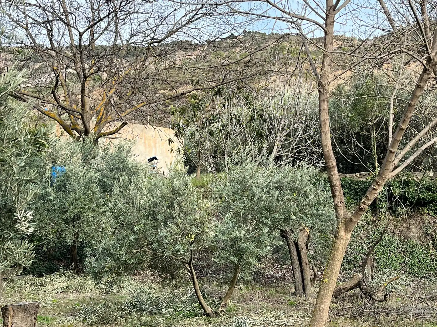 Terreny en venda en Lecrín