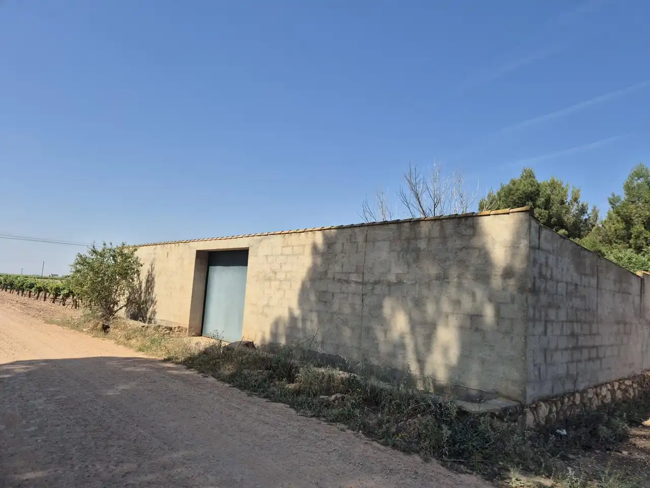 Exterior view of Country homes for sale in Campo de Criptana  with Private garden, Terrace and Swimming Pool