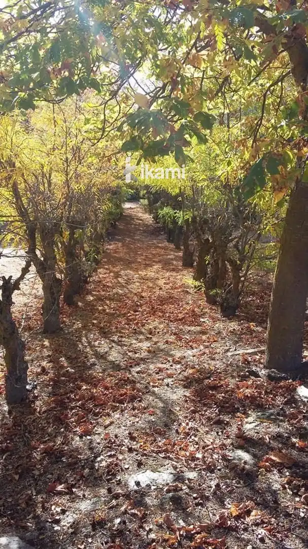 Terreni e lotti in vendita a Otero de Herreros, imagen 23