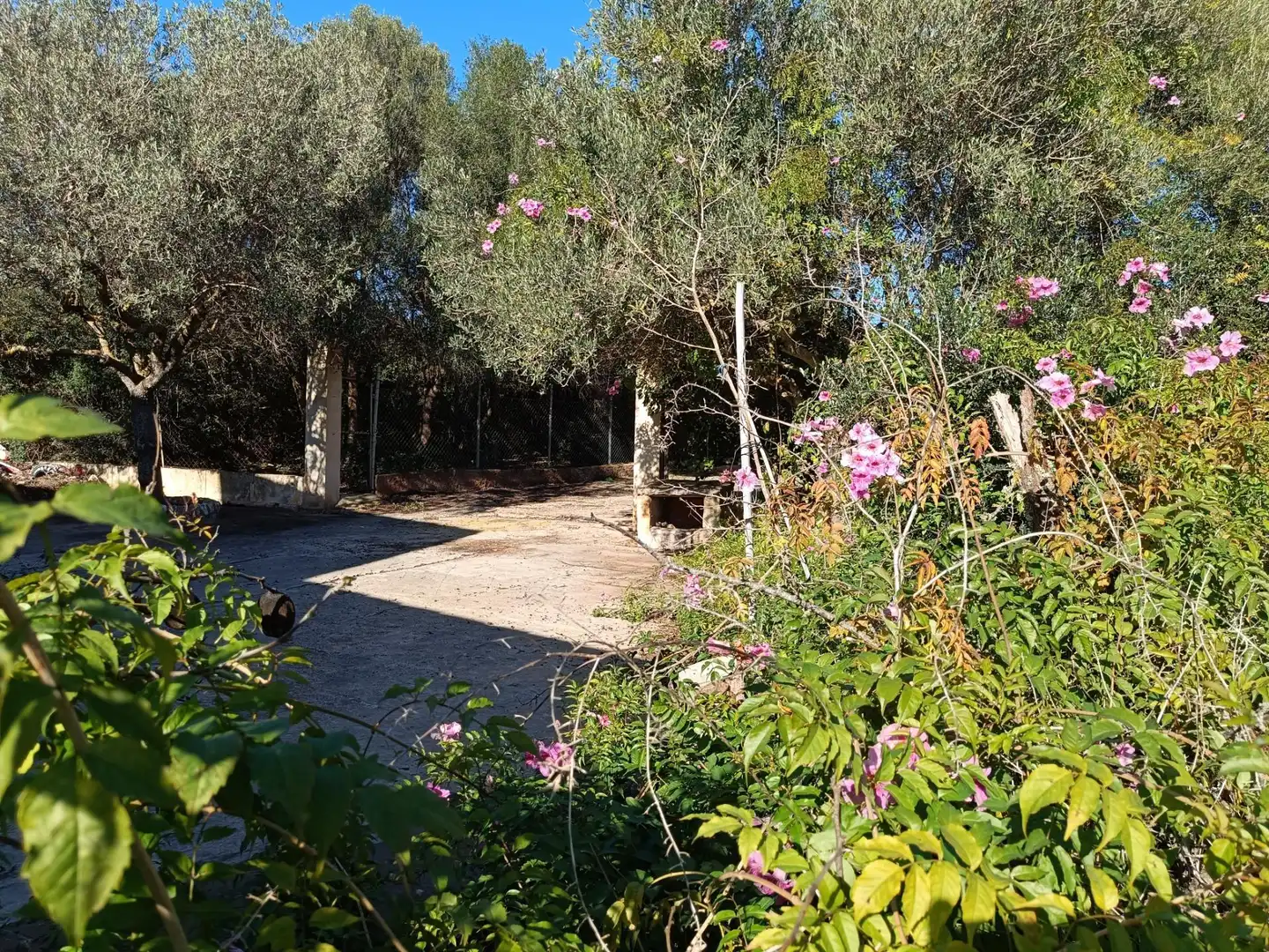 Jardín de Finca rústica en venta en Sant Llorenç des Cardassar con Calefacción, Jardín privado y Terraza