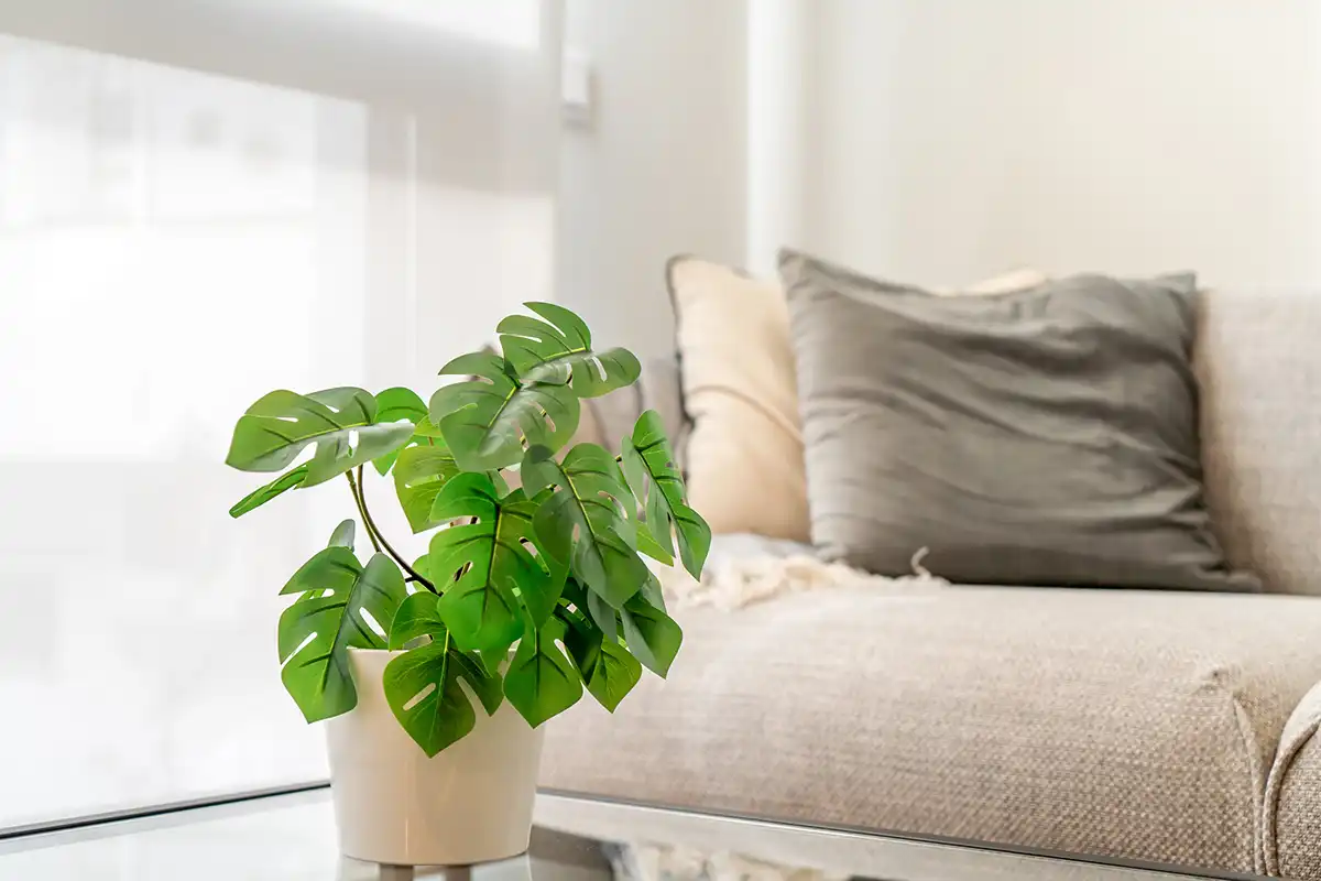 Apartments for rent in Calle de García Luna, 20, Ciudad Jardín