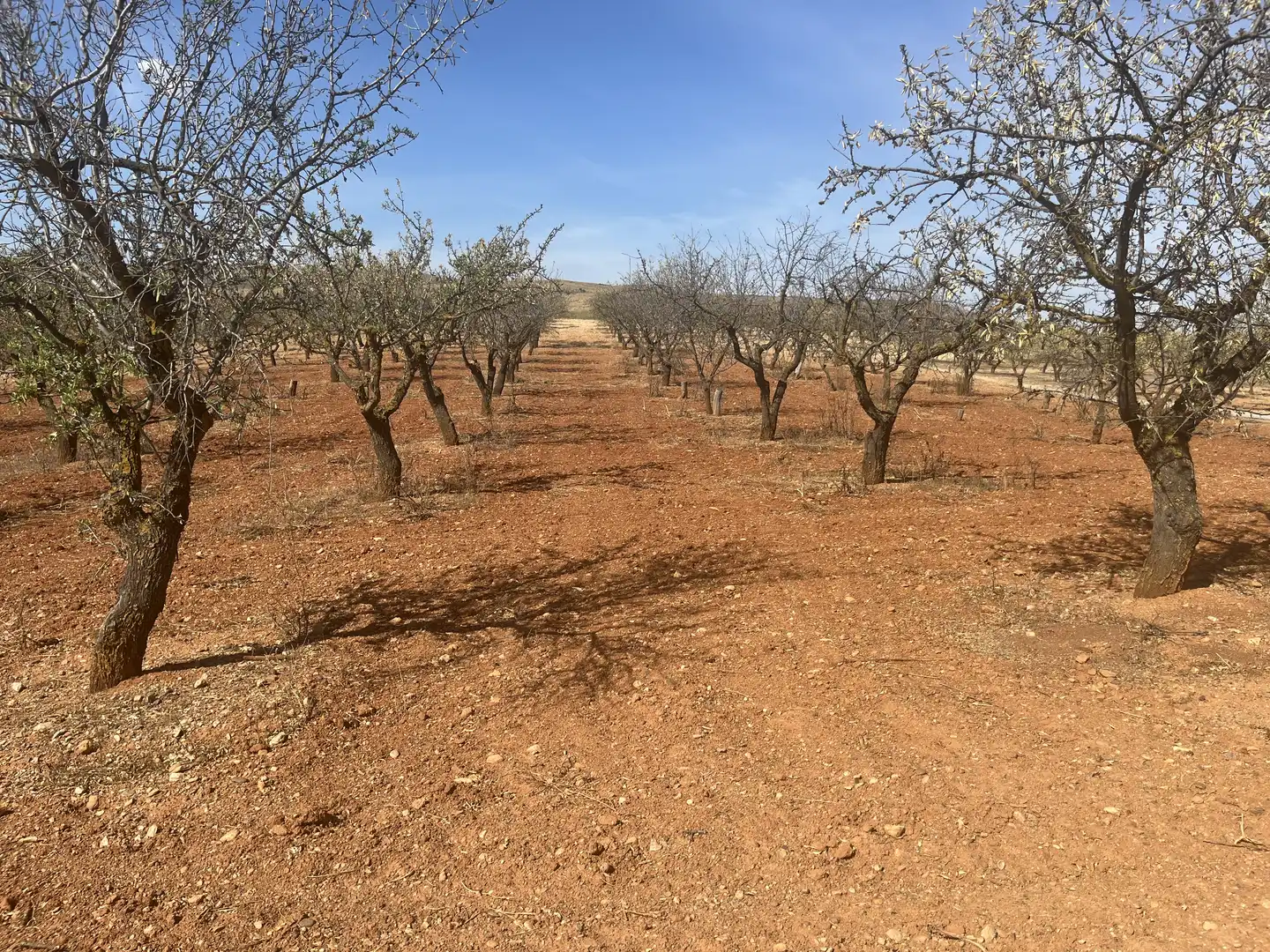 Rustikales Grundstück zum Verkauf in Avenida de Andalucía
