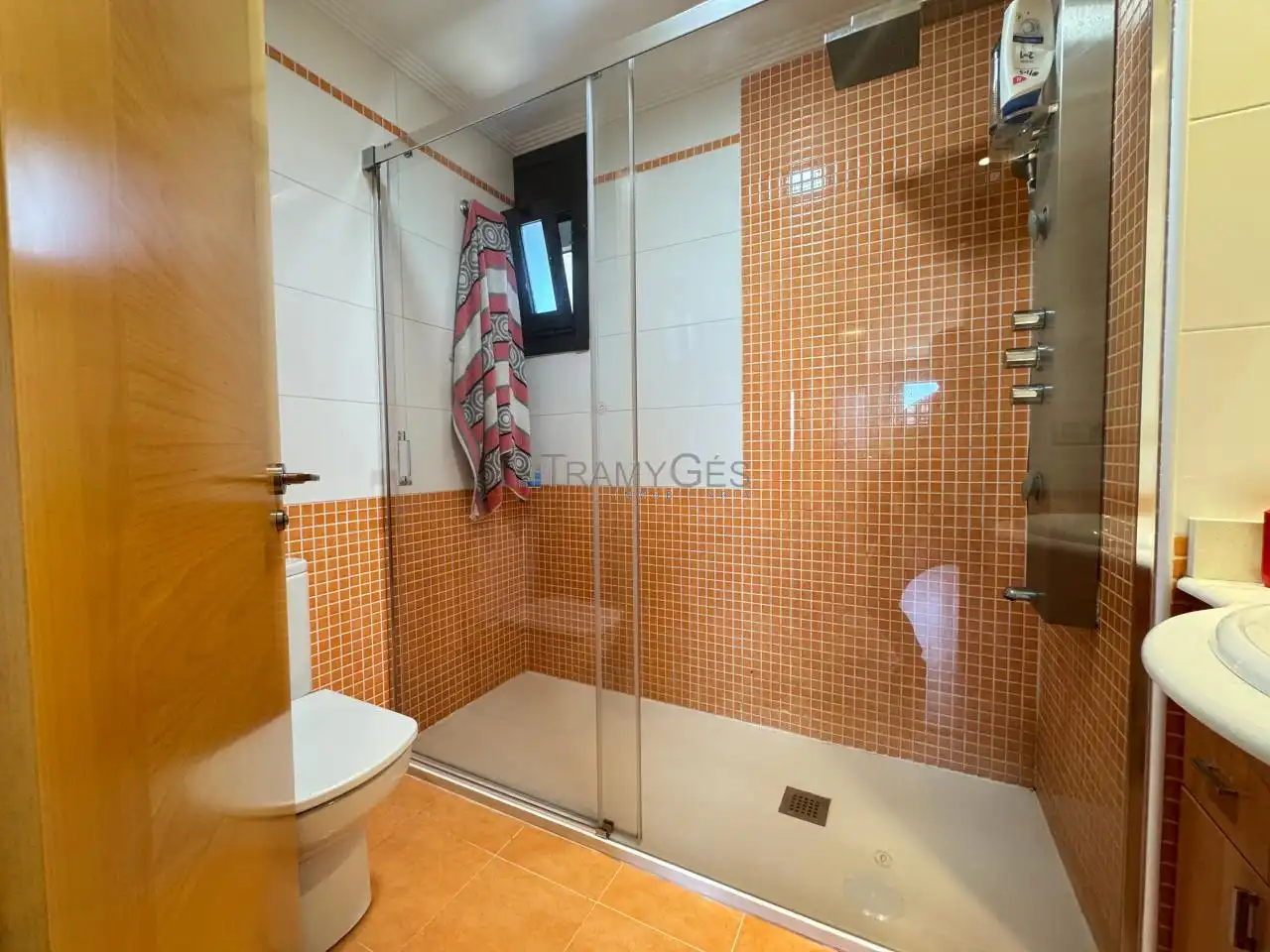 Bathroom of Flat for sale in Centro Urbano