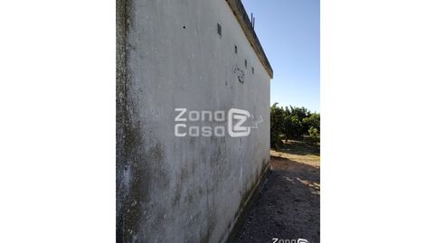 Foto 4 de Finca rústica en venta en Algemesí, Valencia