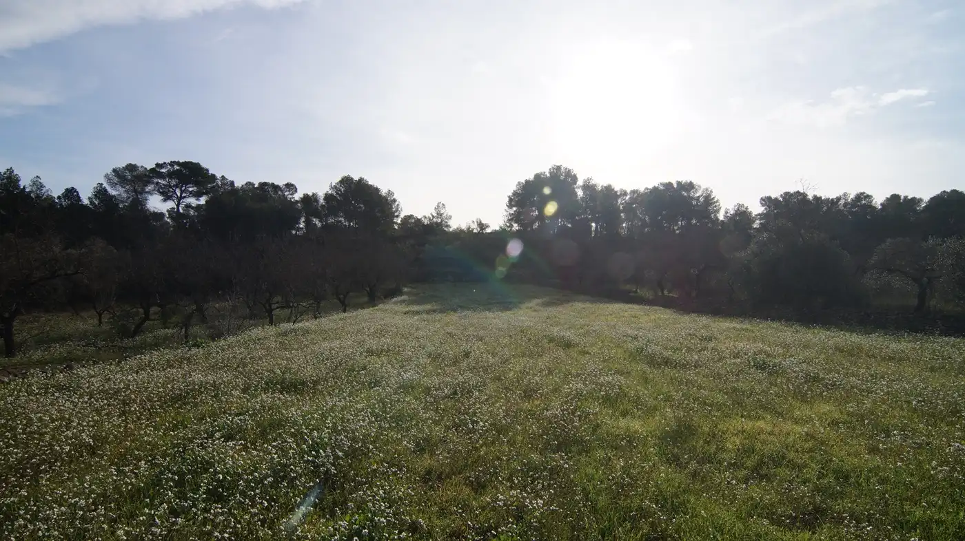 Terrain rustique à vendre à Rasquera, imagen 5