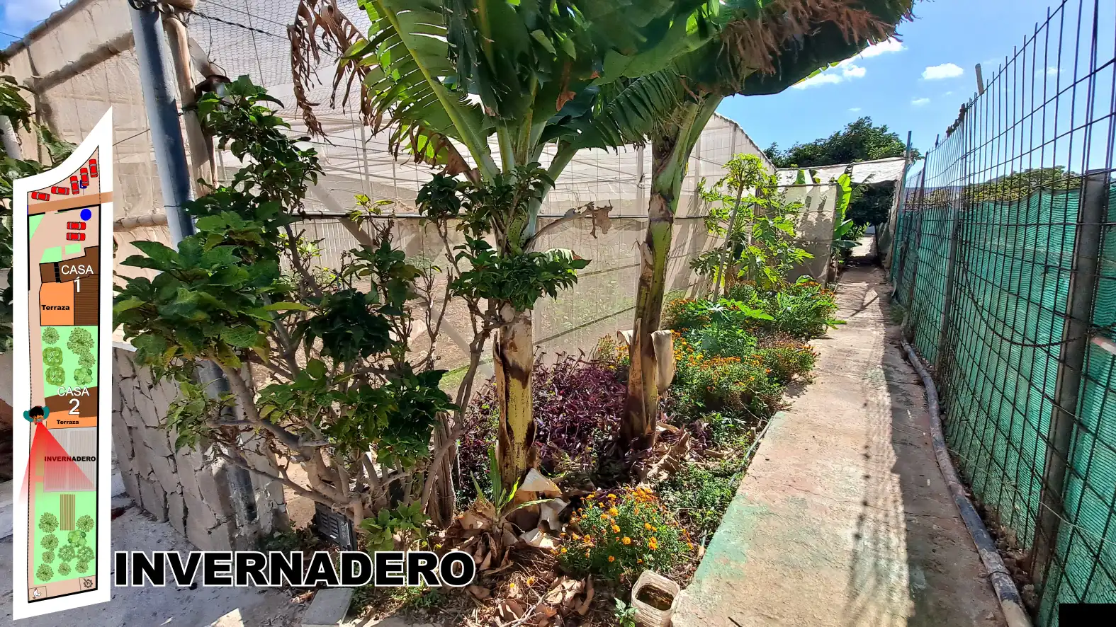 Jardín de Finca rústica en venta en Ingenio con Terraza, Horno y TV