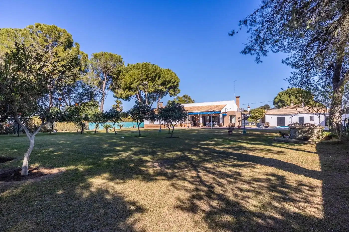 Jardín de Casa o chalet en venta en Carmona con Aire acondicionado, Jardín privado y Trastero