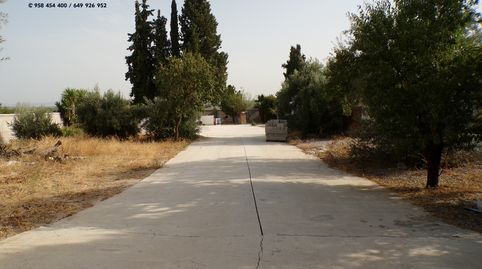 CORITJO EN VENTA EN PINOS PUENTE, immagine 3