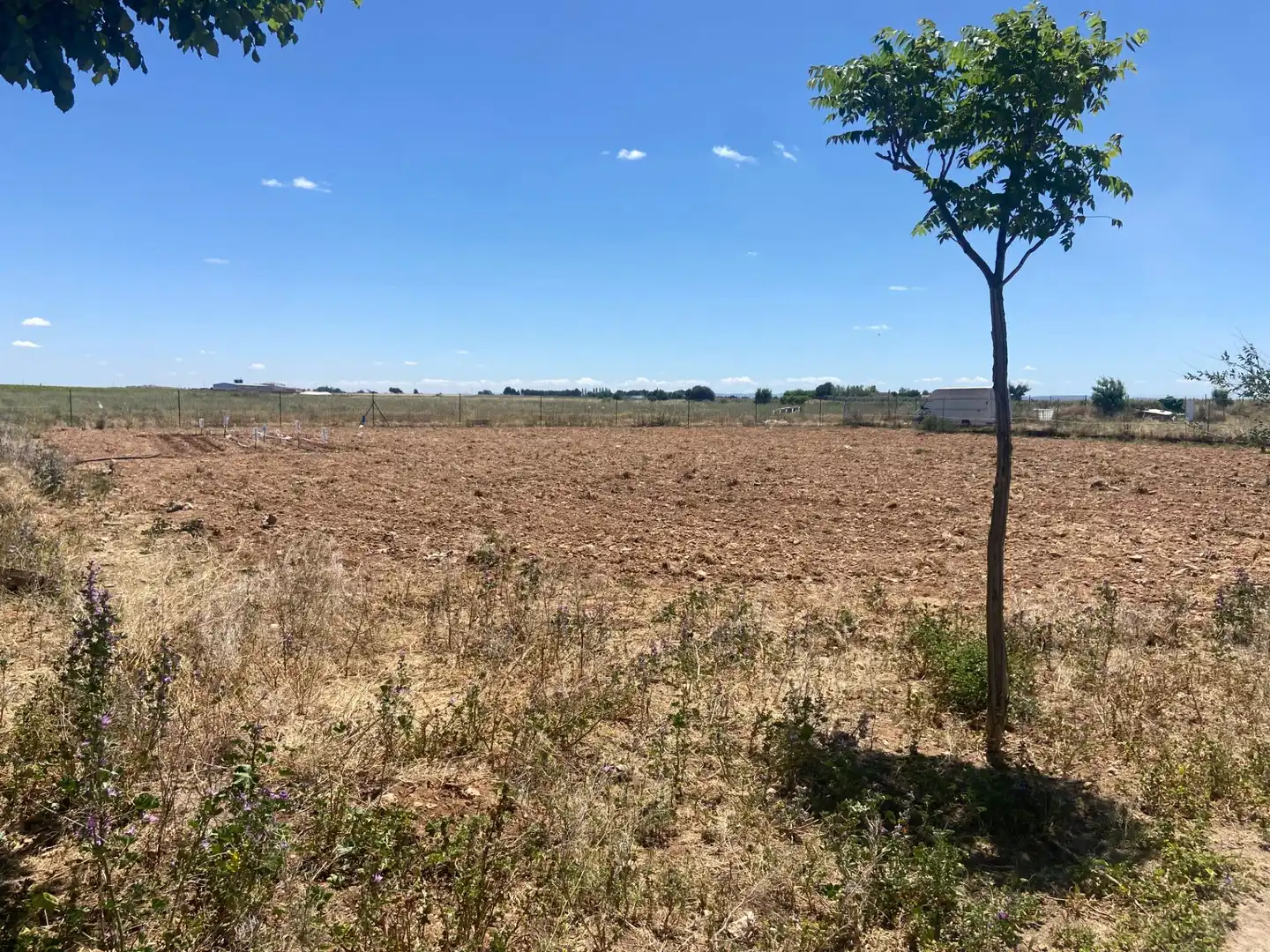 Terreny residencial en venda a Camino Camino de Torralba de Calatrava, imagen 15