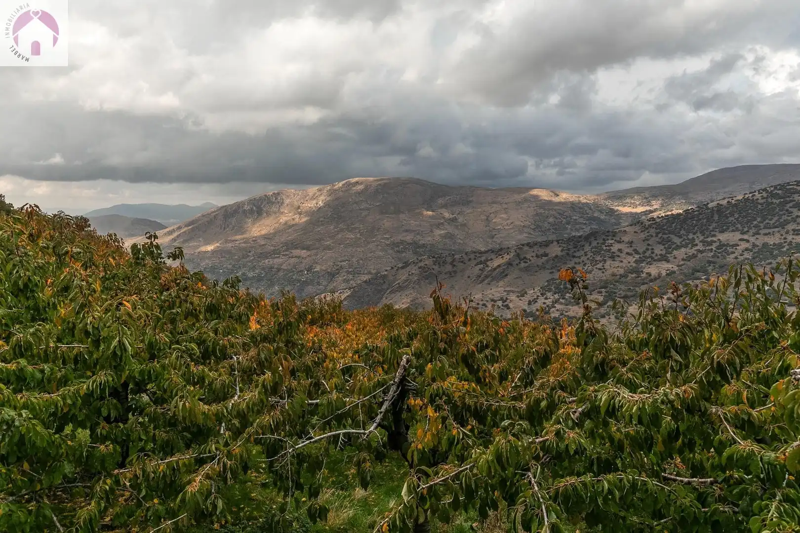 Lands and plots for sale in Güéjar Sierra, imagen 11