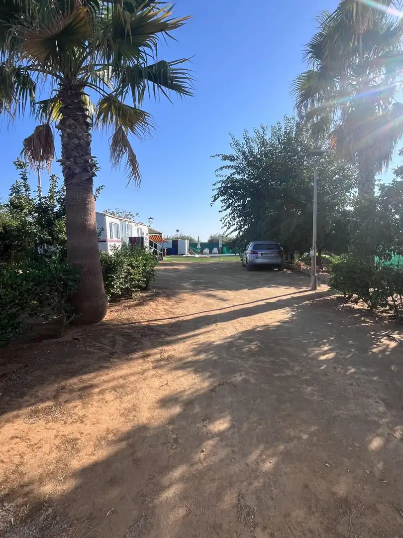 Casa rústica en venda a Carmona, imagen 4