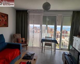 Study to rent in Juzgados - Plaza de Toros