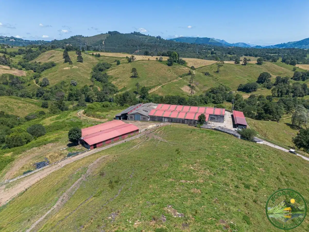 Vista exterior de Casa o chalet en venta en Nava con Calefacción, Jardín privado y Parquet