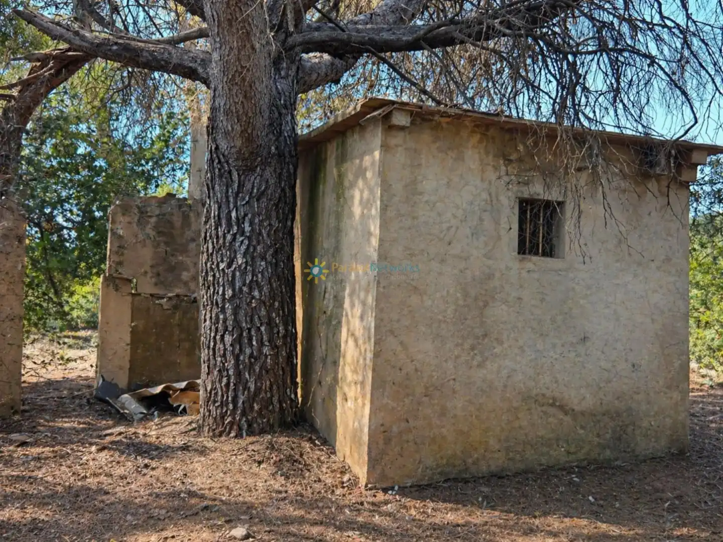 Vista exterior de Terreno en venta en Bellús