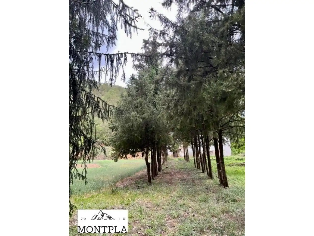 Casa o chalet en venta en La Baronia de Rialb
