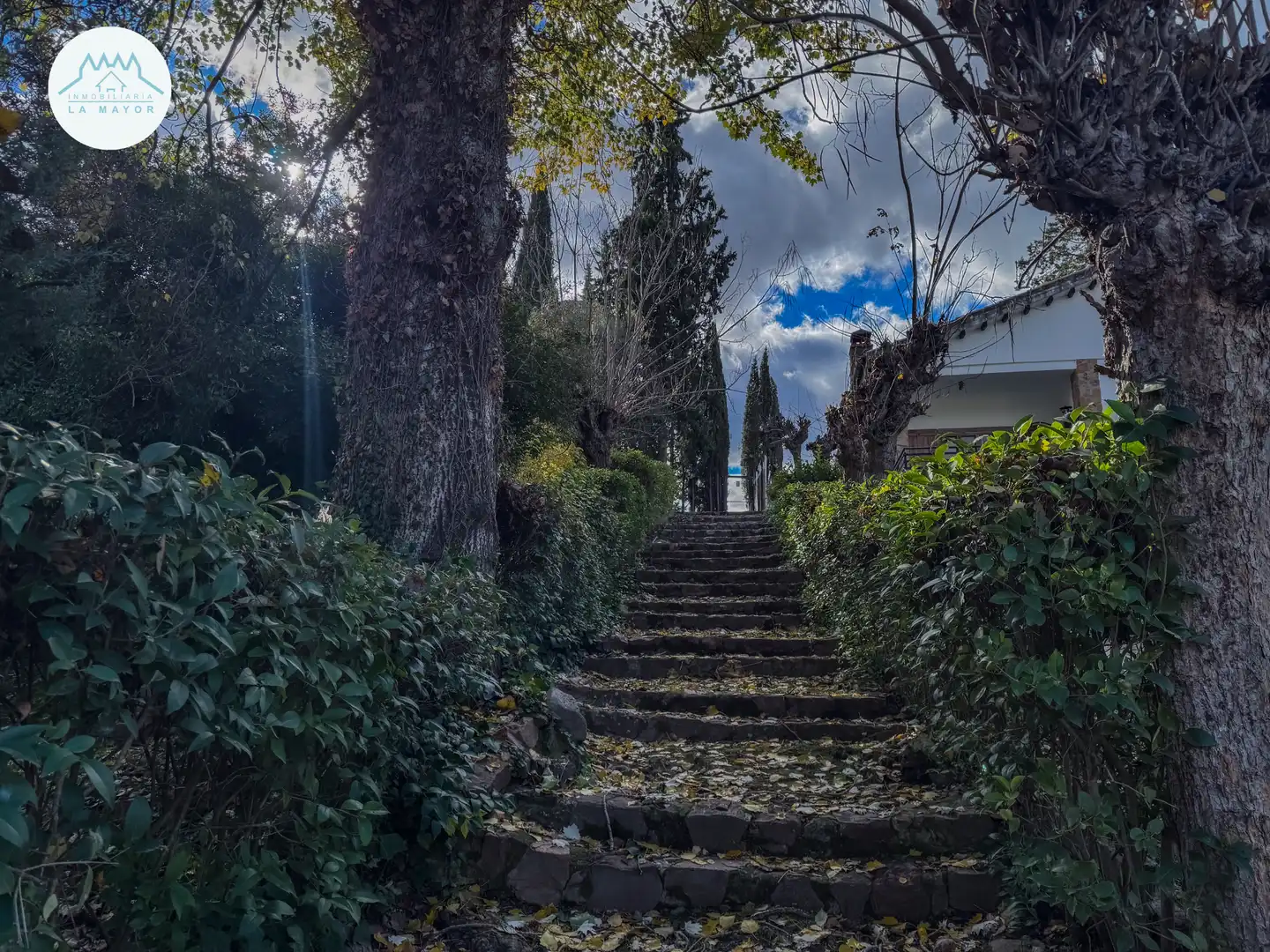 Jardín de Casa o chalet en venta en Piedrabuena con Calefacción, Jardín privado y Terraza