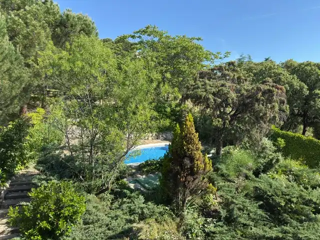 Piscina de Casa o chalet en venta en Torrelodones con Jardín privado, Terraza y Piscina