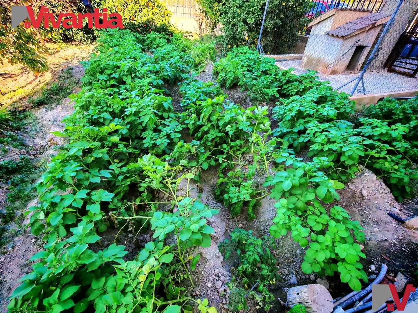 Casa o chalet en venta en Carretera de la Pulgara, Pulgara