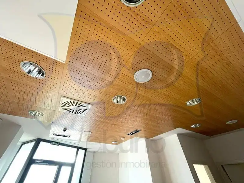 Gewerbefläche zum Verkauf in Chinchibarra - Capuchinos, imagen 8