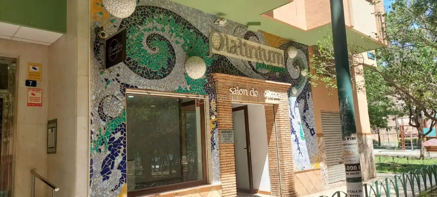 Local comercial en venda a Calle Poeta José Ortiz Rodríguez 4, imagen 15