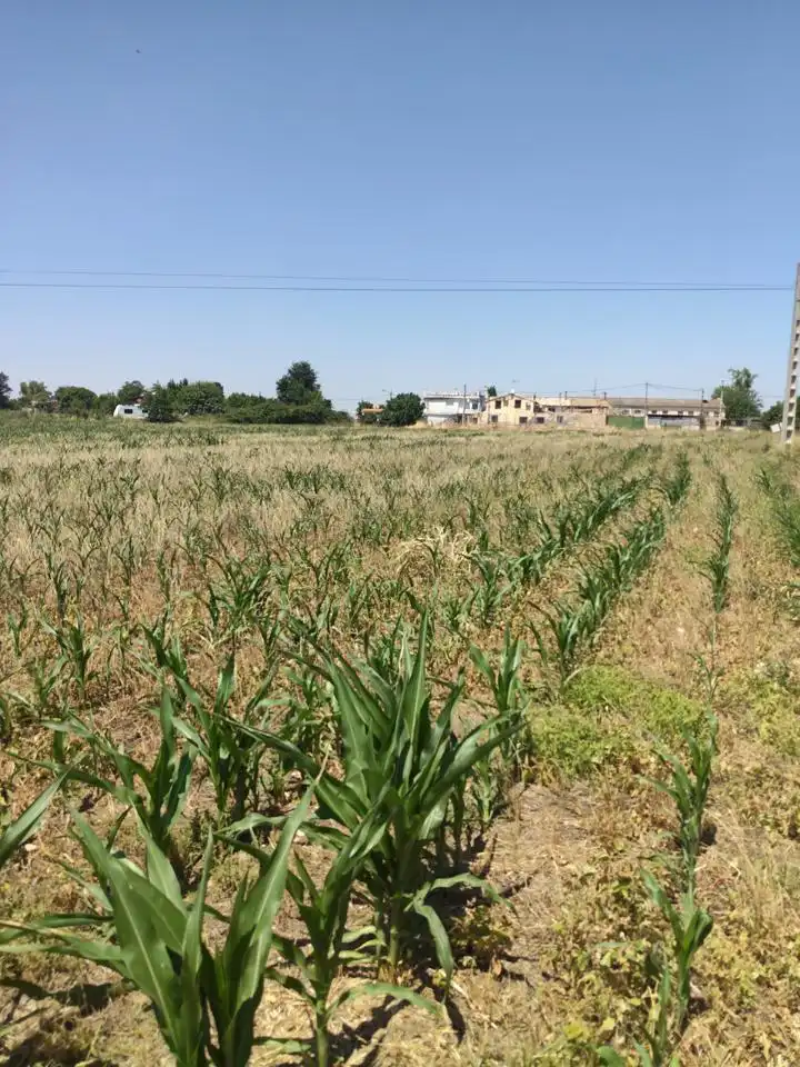 Terreni e lotti in vendita a Camino de Zamoray, imagen 17